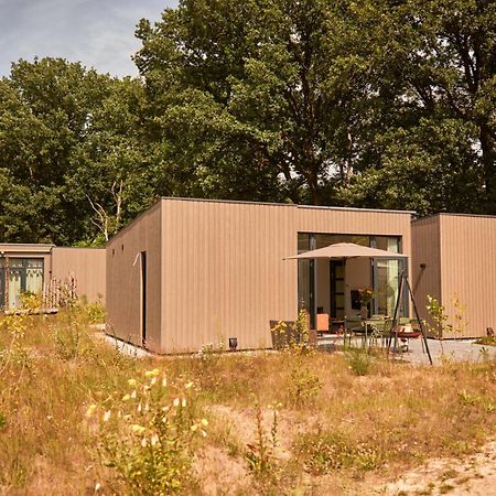 Dutchen Zeegser Duinen Suitelodges Eksteriør bilde